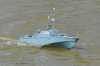 DSC00259 © Peter Taylor 2012