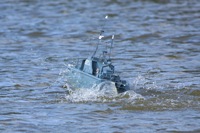 DSC00242 © Peter Taylor 2012
