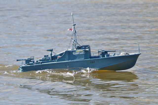 DSC09357 © Peter Taylor 2012