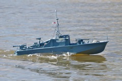 DSC09357 © Peter Taylor 2012