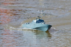 DSC09349 © Peter Taylor 2012