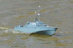 DSC00259 © Peter Taylor 2012