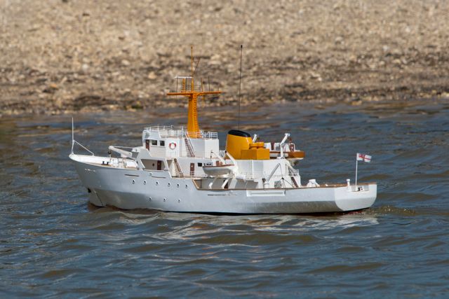 DSC01705 © Peter Taylor 2013