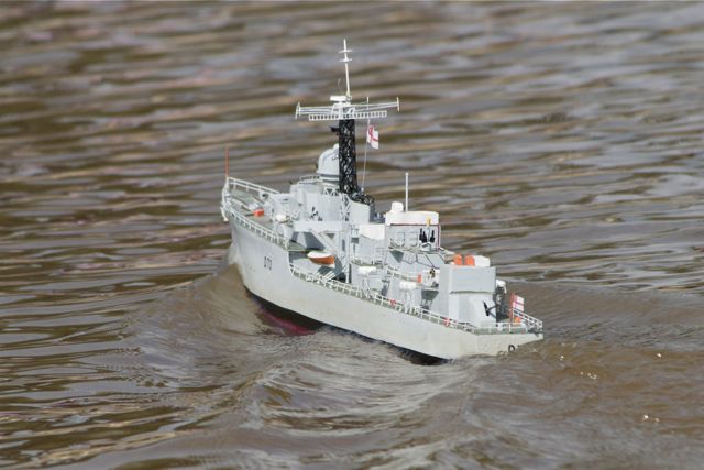 DSC06495 © Peter Taylor 2011