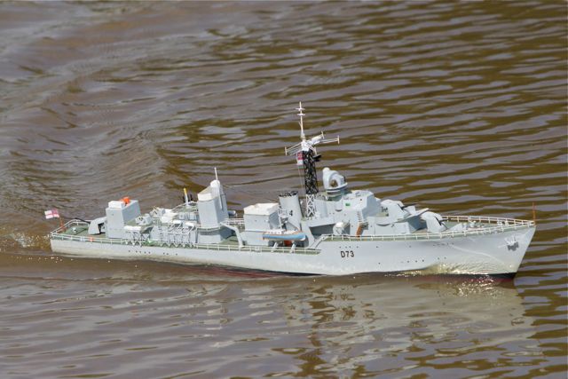 DSC06487 © Peter Taylor 2011