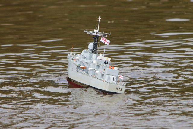 DSC06664 © Peter Taylor 2011