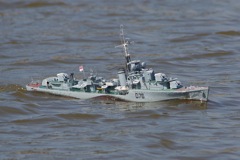 DSC00131 © Peter Taylor 2012