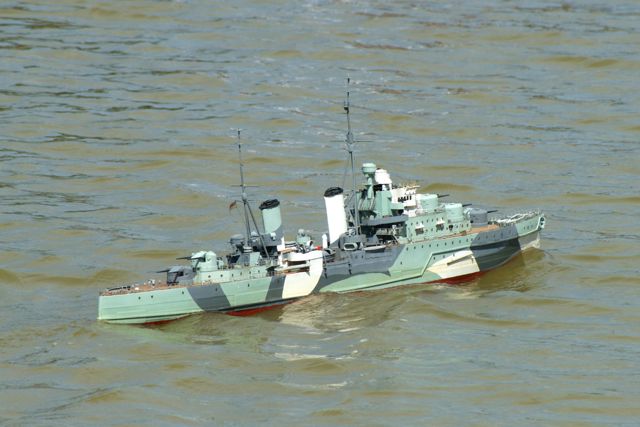 DSC01860 © Peter Taylor 2010