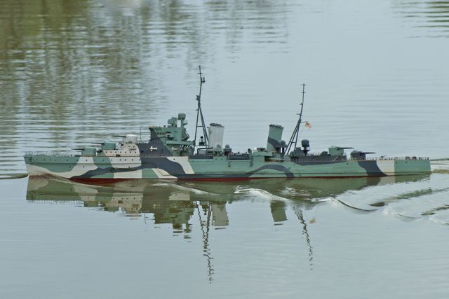 DSC01243 © Peter Taylor 2010