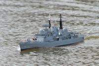 DSC03495 © Peter Taylor 2011