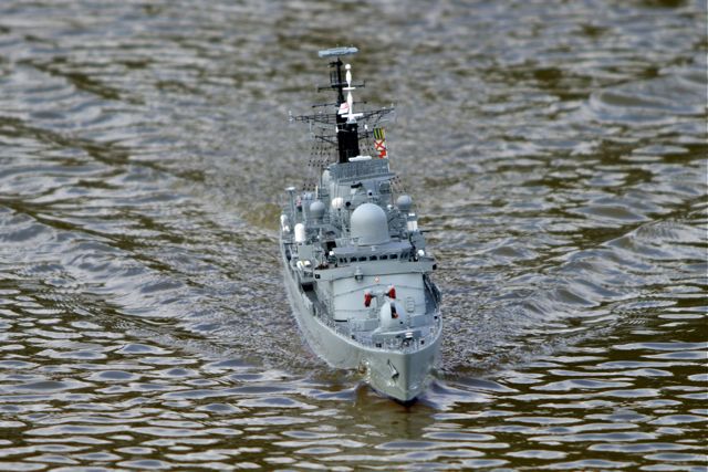 DSC03484  © Peter Taylor 2011
