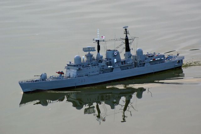 DSC04556  © Peter Taylor 2008