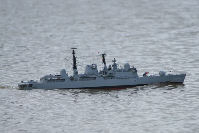 DSC03490  © Peter Taylor 2011