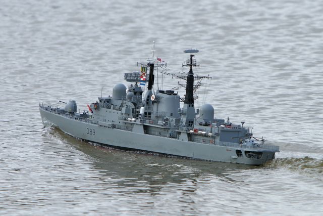 DSC03486 © Peter Taylor 2011