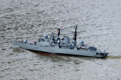 DSC03485  © Peter Taylor 2011