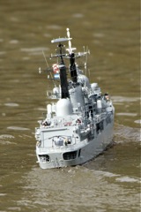 DSC03448 © Peter Taylor 2011