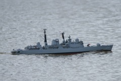 DSC03490  © Peter Taylor 2011