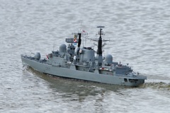 DSC03486 © Peter Taylor 2011