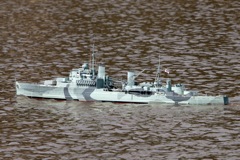 DSC06846 © Peter Taylor 2011