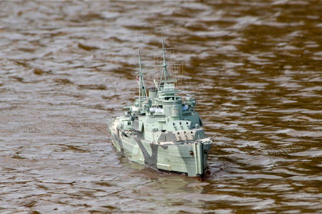 DSC06879 © Peter Taylor 2011