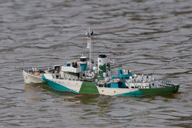 DSC03790 © Peter Taylor (2011)