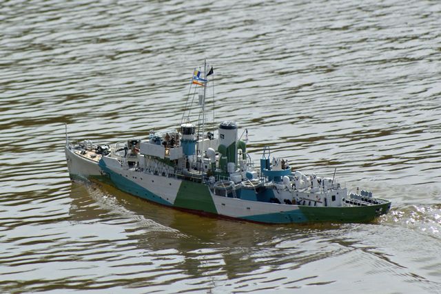 DSC05096 © Peter Taylor (2008)