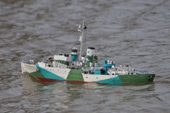 DSC03792 © Peter Taylor (2011)