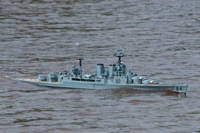 DSC05017 © Peter Taylor 2011
