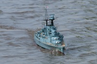 DSC05018 © Peter Taylor 2011