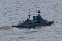DSC05032 © Peter Taylor 2011