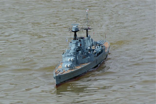 DSC03328 © Peter Taylor 2010