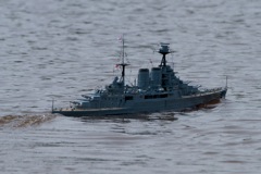 DSC05032 © Peter Taylor 2011