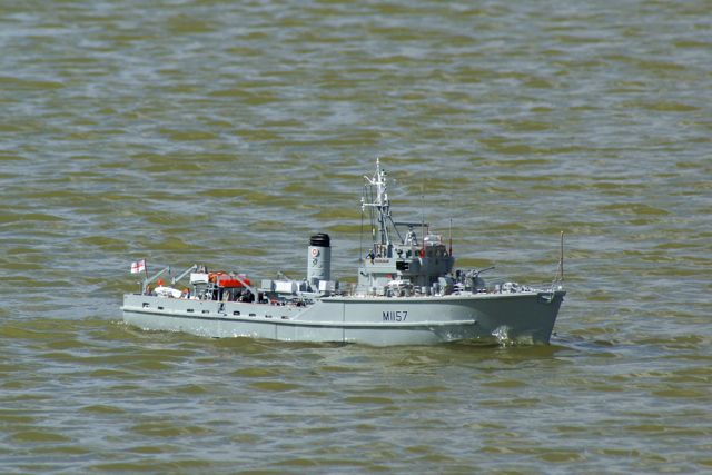 DSC09426 © Peter Taylor 2009