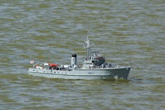 DSC09426 © Peter Taylor 2009
