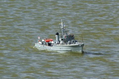 DSC09425 © Peter Taylor 2009