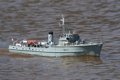 DSC04629 © Peter Taylor 2011