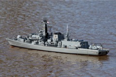 DSC04652 © Peter Taylor 2011