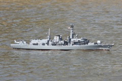 DSC00220 © Peter Taylor 2012