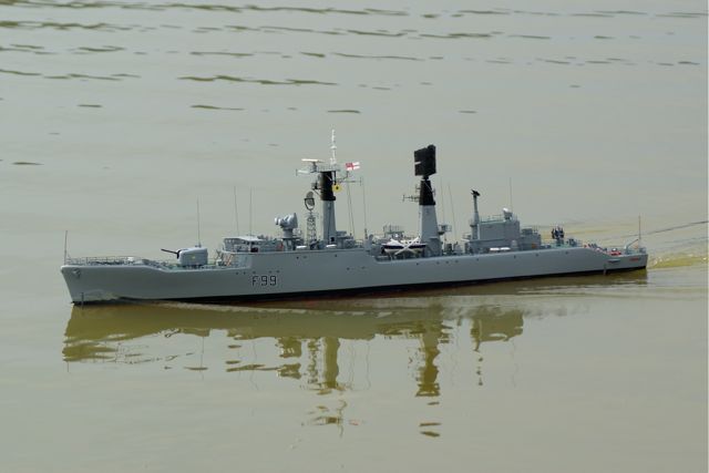 DSC06594 © Peter Taylor 2008