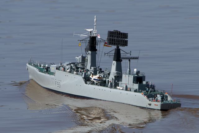 DSC04744 © Peter Taylor 2011