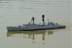 DSC06594 © Peter Taylor 2008