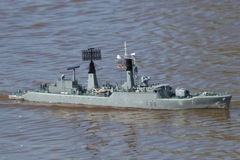 DSC04686 © Peter Taylor 2011
