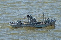 DSC00929 © Peter Taylor 2010