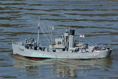 DSC03005 © Peter Taylor 2010