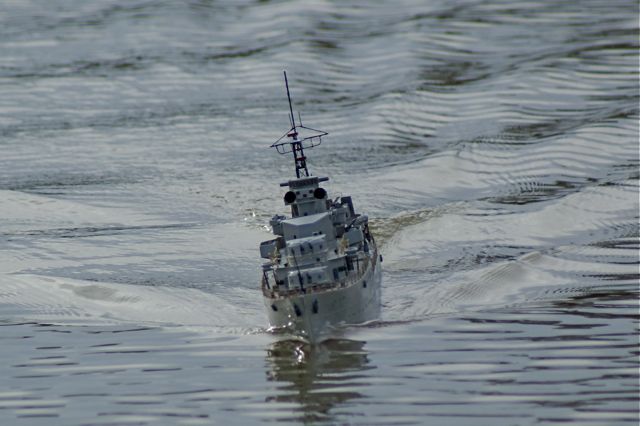 DSC07365 © Peter Taylor 2008