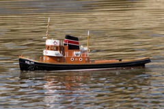 DSC07040 © Peter Taylor 2011