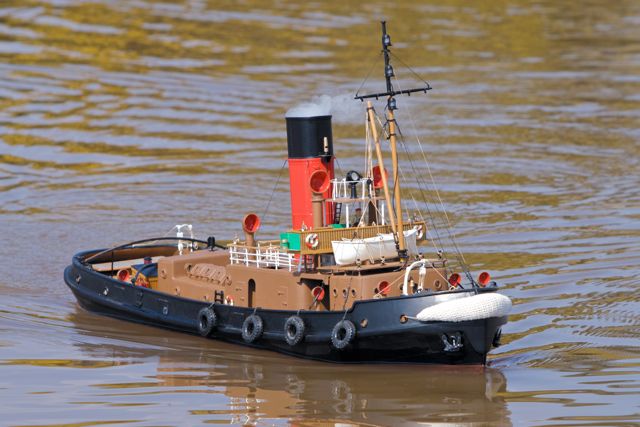 DSC04772 © Peter Taylor 2011