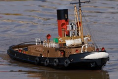 DSC04760 © Peter Taylor 2011