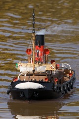 DSC04771 © Peter Taylor 2011