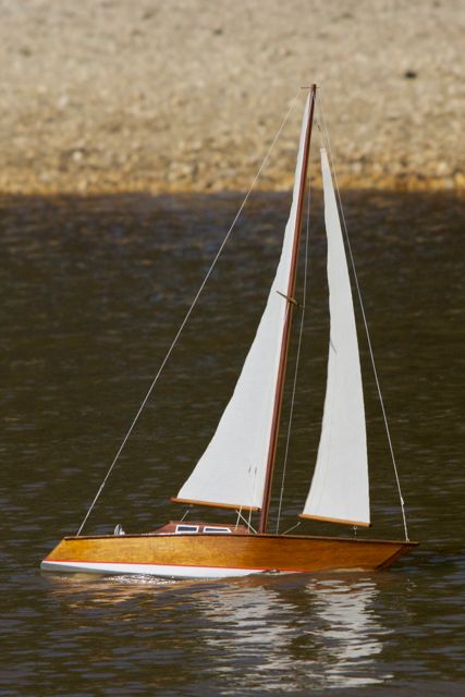DSC07423 © Peter Taylor 2011